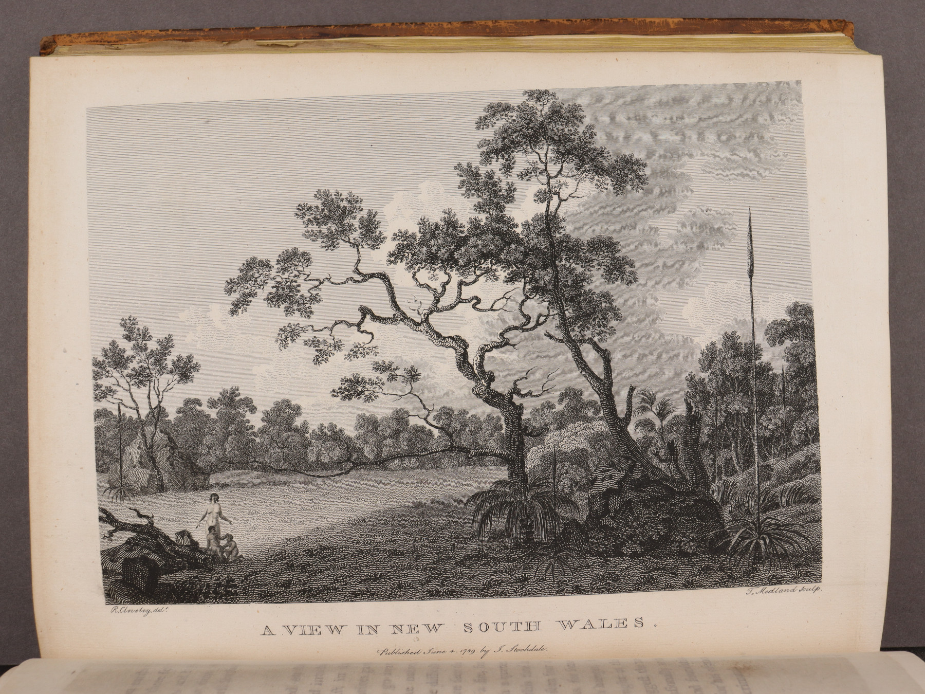 Plate 11